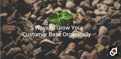 5 Ways to Grow Your Customer Base Organically