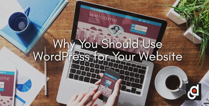 Why You Should Use WordPress for Your Website